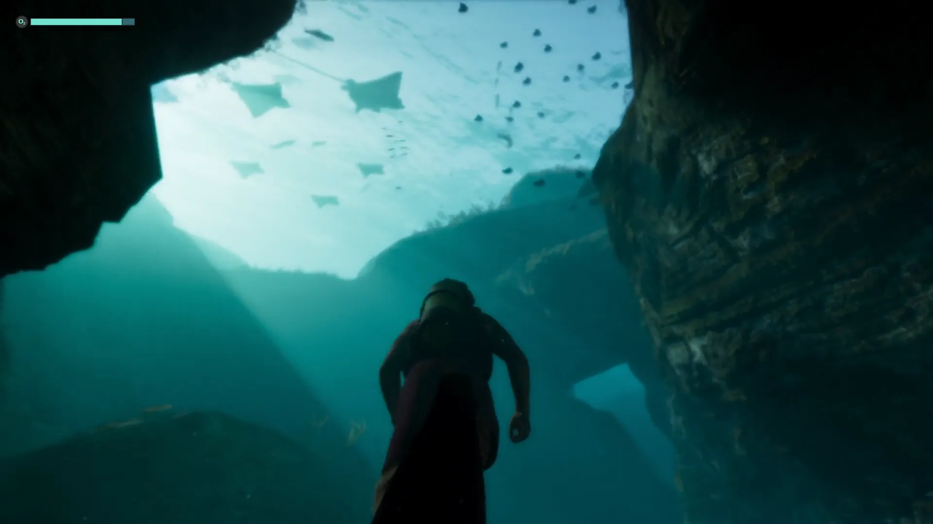 Oxygen Meter Indicator While Underwater