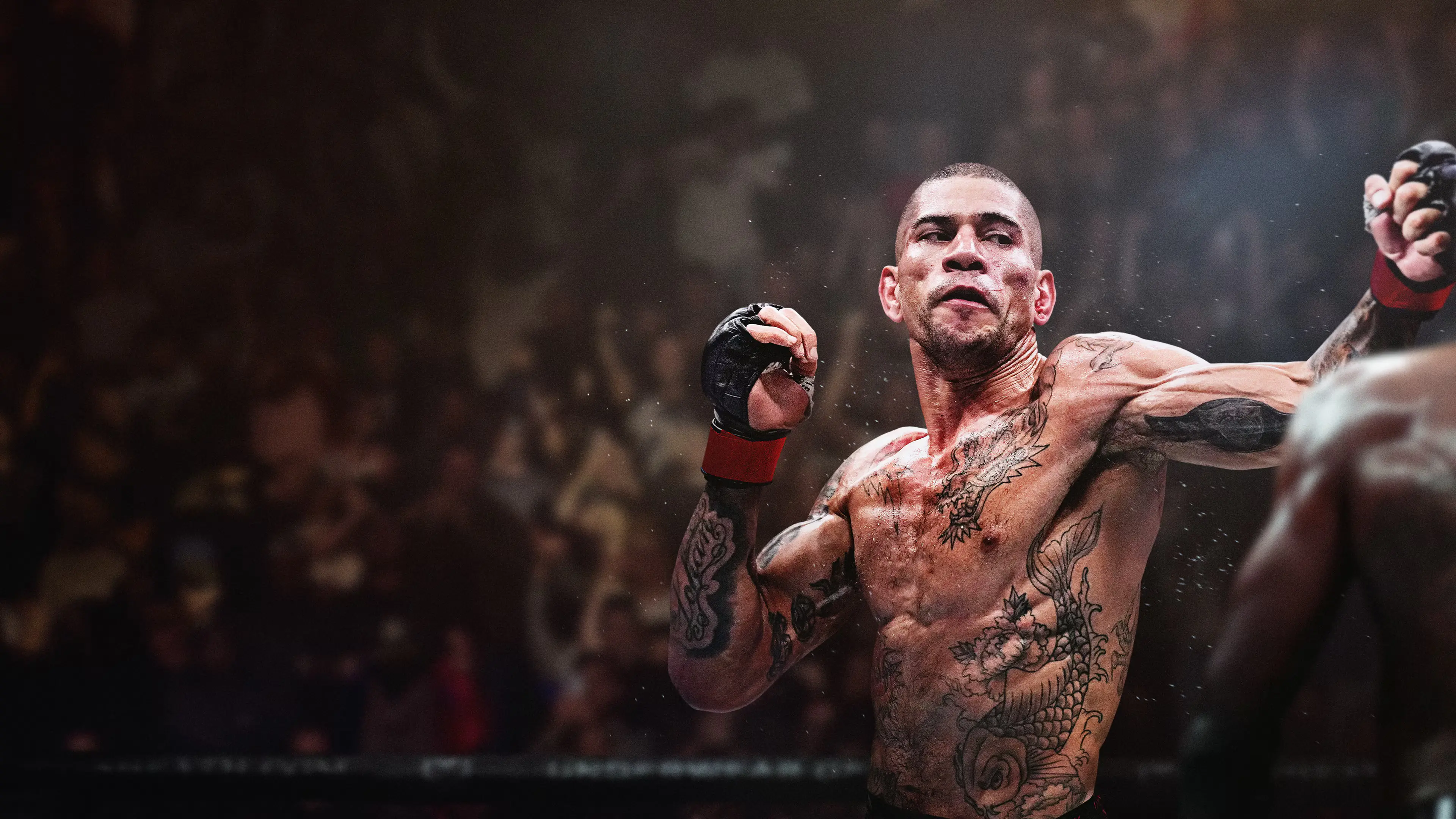 UFC 6's Launch Week Problem: Great Reviews, Broken Servers, and a Roster Down 60 Fighters